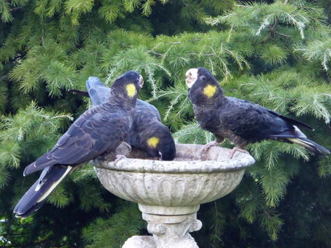 Tamar River Retreat - Holiday Find 37