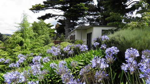 Tamar River Retreat - Holiday Find 28