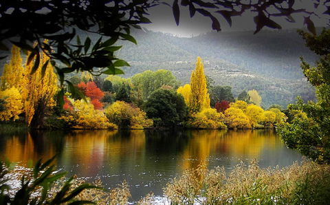 Platypus Playground Riverside Cottage - Holiday Find 15