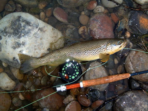 Platypus Playground Riverside Cottage - Holiday Find 18