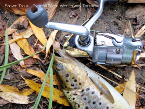 Platypus Playground Riverside Cottage - Holiday Find 20