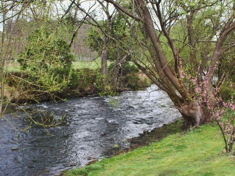 Platypus Playground Riverside Cottage - Holiday Find 22