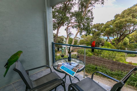 Lorne Surf Apartments - Holiday Find 21