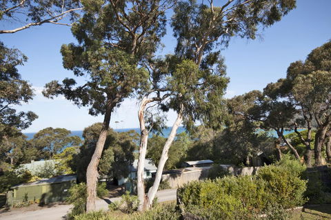 Lorne Surf Apartments - Holiday Find 11