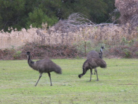 The Grampians Motel - Holiday Find 22