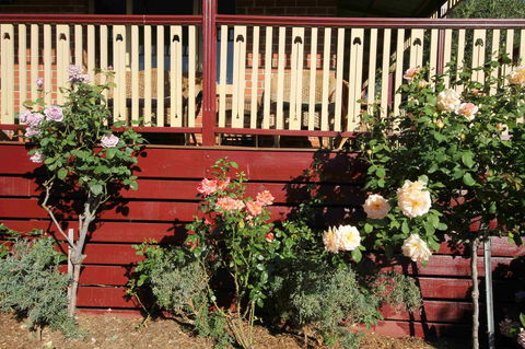 Oxford Rise Apartment - Holiday Find 21