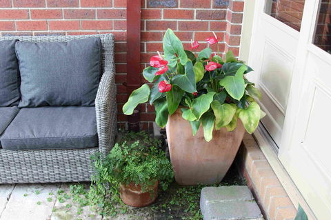 Oxford Rise Apartment - Holiday Find 16
