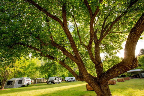 Discovery Parks - Bright - Holiday Find 31