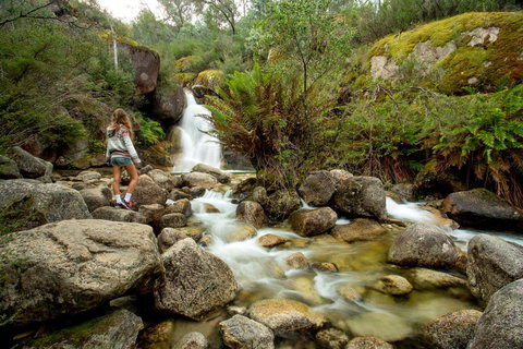 Discovery Parks - Bright - Holiday Find 21