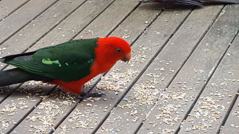 Wilsons Promontory Motel - Holiday Find 27