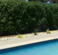 Robinvale Bridge Motel - Holiday Find