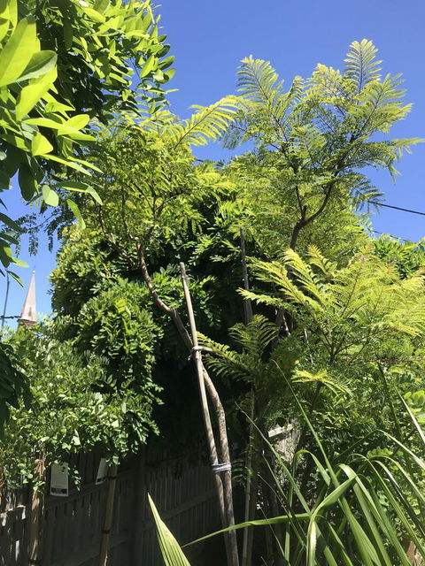 CROWN CENTRAL BUSINESS DISTRICT MOTEL - NO UNDER 18s - Holiday Find 12