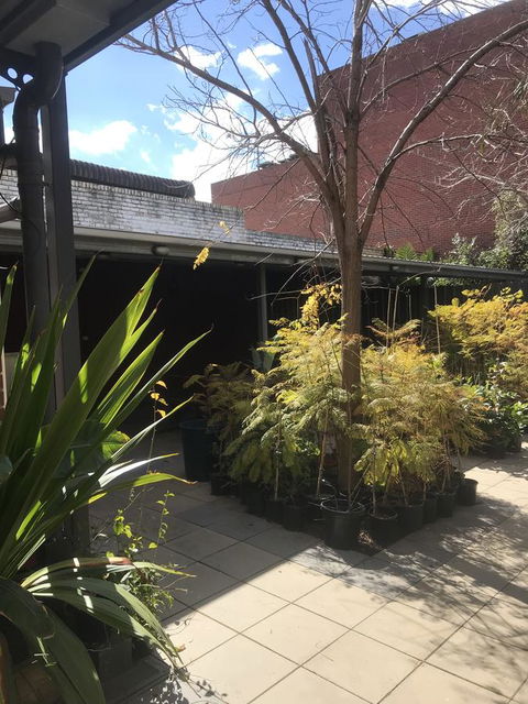 CROWN CENTRAL BUSINESS DISTRICT MOTEL - NO UNDER 18s - Holiday Find 21