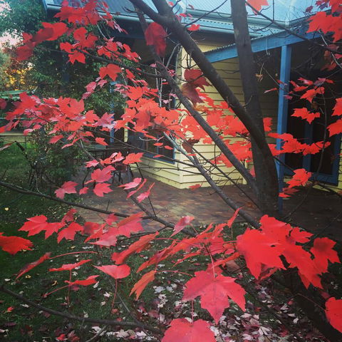 The Orchard House - Holiday Find 27