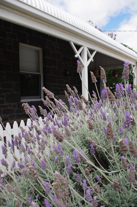 Little River Bed And Breakfast - Holiday Find 30