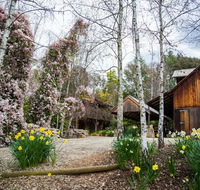 Lothlorien - Holiday Find