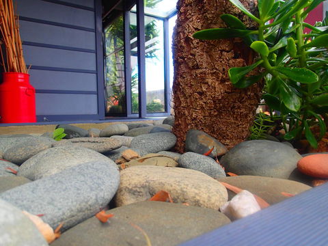 Azen Haven - Holiday Find 11