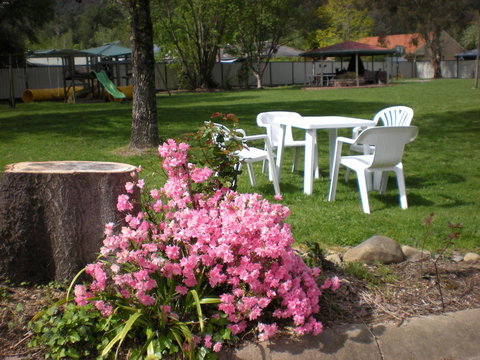 Willow Dene Holiday Apartments - Holiday Find 24