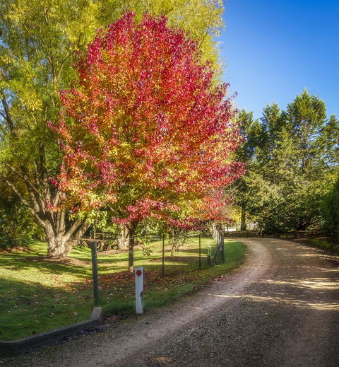 Bright Mystic Valley - Holiday Find 23