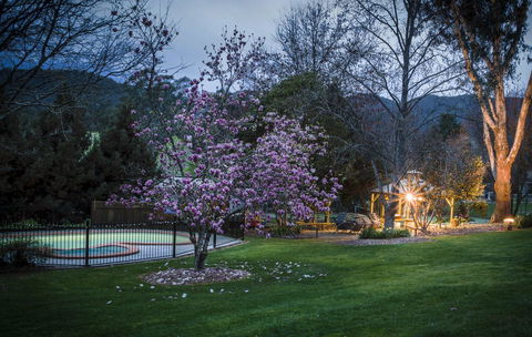 Bright Mystic Valley - Holiday Find 26