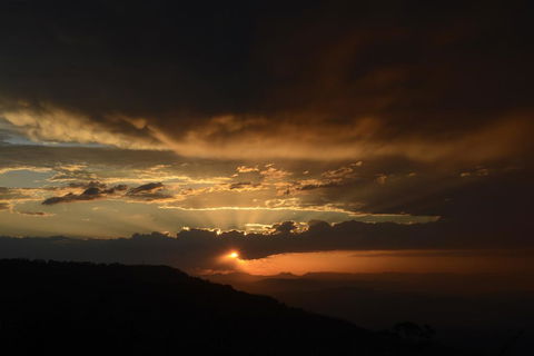 The Bird House - Holiday Find 1