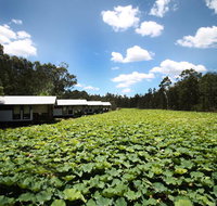 The Boathouses at Leaves  Fishes - Holiday Find