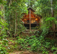 The Canopy Rainforest Treehouses  Wildlife Sanctuary - Holiday Find