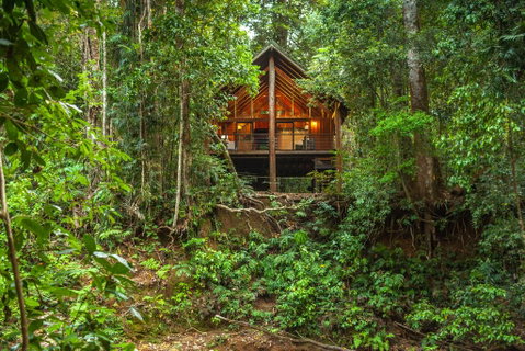 The Canopy Rainforest Treehouses & Wildlife Sanctuary - Holiday Find 0