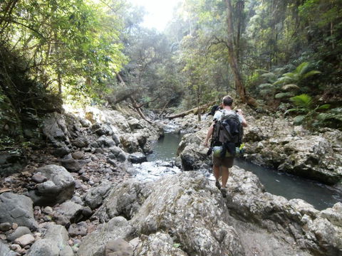 The Canungra Motel - Holiday Find 1