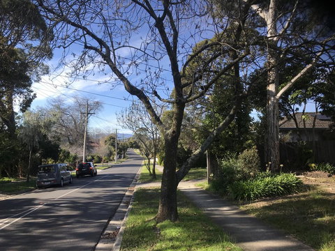 The Greenhouse - Holiday Find 1