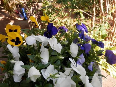 The Hideaway Luxury B&B Retreat - Holiday Find 1