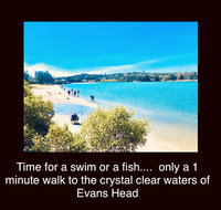 The Lazy Llama - Holiday Find