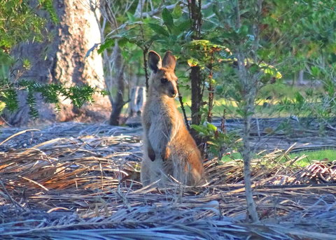The Lovely Cottages Retreat - Guests Only - Holiday Find 1