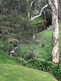 Book Cockatoo Valley Accommodation Vacations Holiday Find Holiday Find