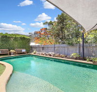 The Odd Gecko BB - Holiday Find