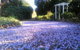 The Old Church Bed And Breakfast - thumb 2