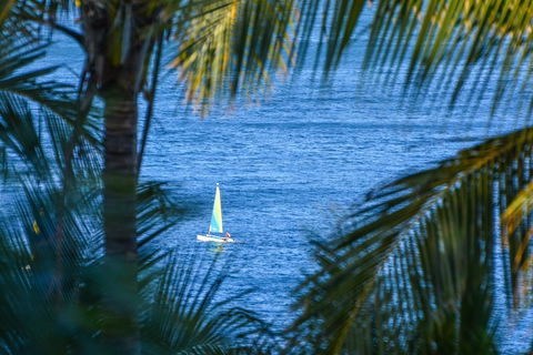 The Palms On Hamilton Island - Holiday Find 2