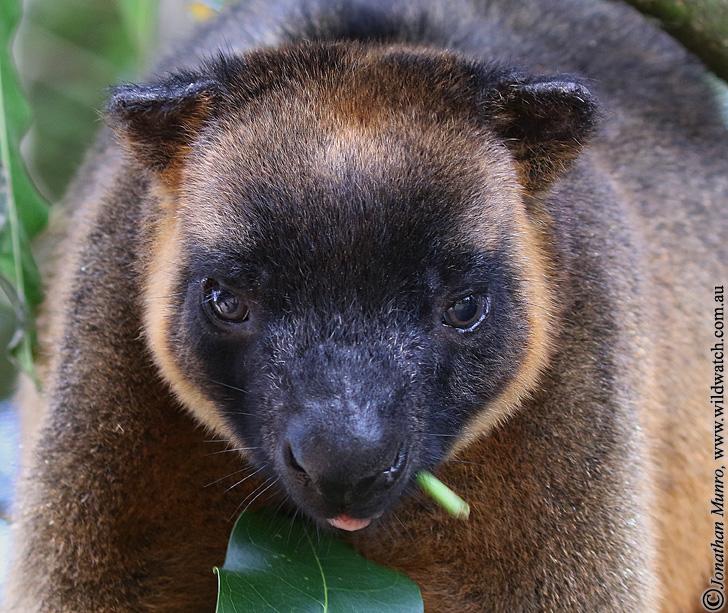 Kaban QLD Holiday Find