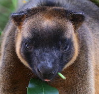 The Pond Cottage - Holiday Find