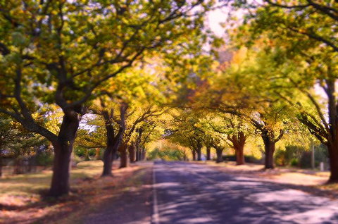 The Shelter Shed Garden Studio Apartment - Holiday Find 0