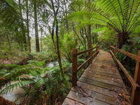 Book Tanybryn Accommodation Vacations Holiday Find Holiday Find