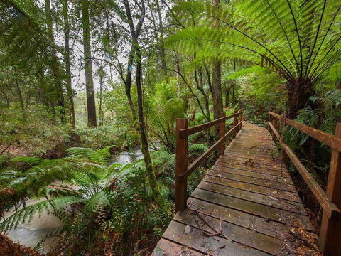The Source, Otways - Holiday Find 0