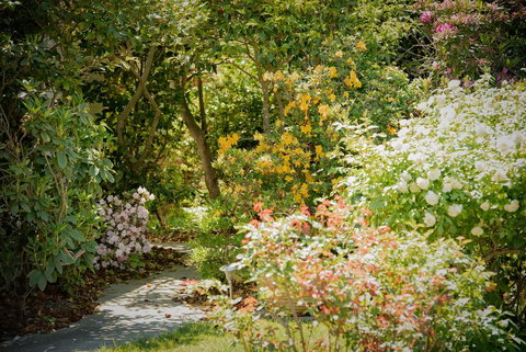 The White House - Holiday Find 2