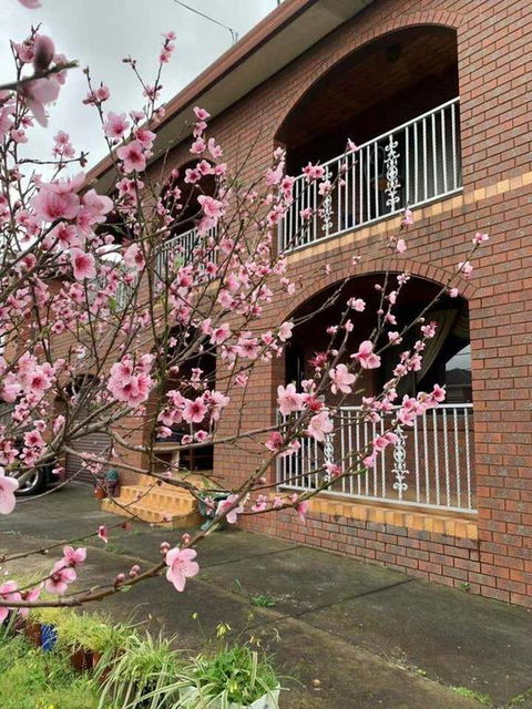 Thomastown Antique House Room 3 - Holiday Find 3