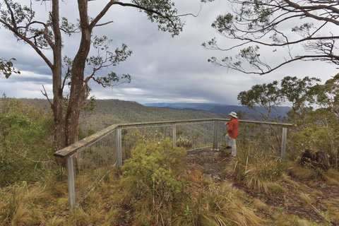 Toms Cabin - Holiday Find 2