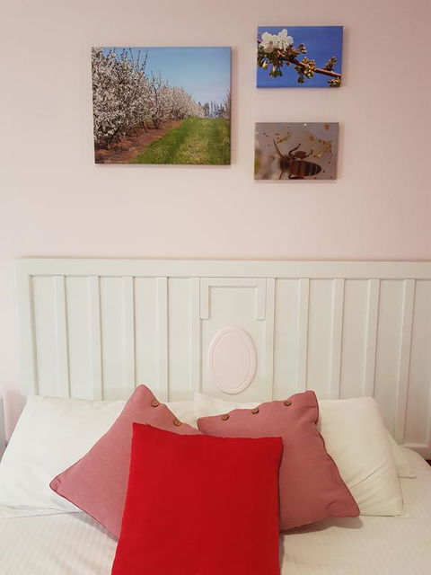 Town House Motor Inn Young - Holiday Find 1