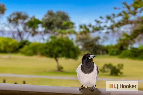 TRADEWINDS 1 - Holiday Find 1