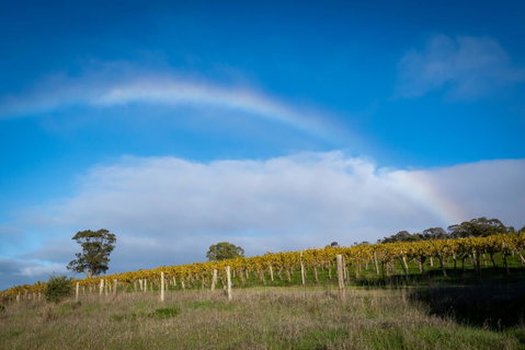 Triple Creek Guest House - Barossa Region - Holiday Find 2