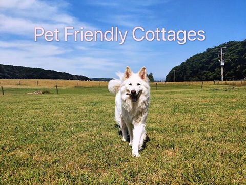 Twelve Apostles Motel & Country Retreat - Holiday Find 2