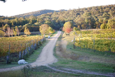Twisted Gum Vineyard Cottage - Holiday Find 1